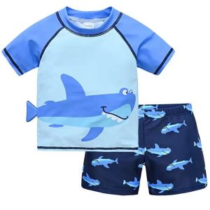 Boys Quick Dry 2 Pieces Swimsuit FG3719