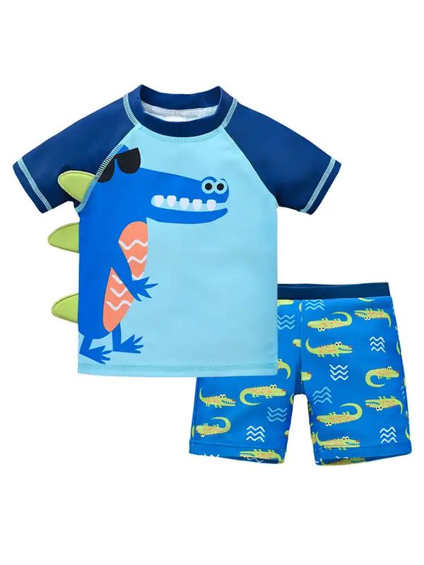 Boys Quick Dry 2 Pieces Swimsuit FG3719 - 图片 5