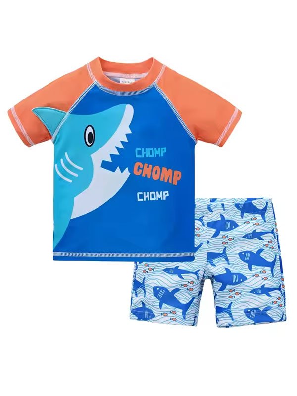 Boys Quick Dry 2 Pieces Swimsuit FG3719 - 图片 8