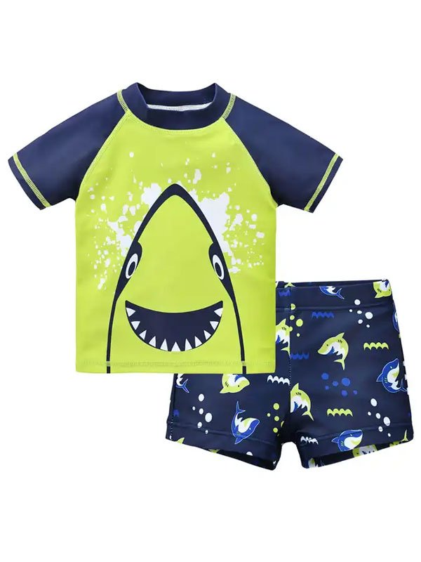 Boys Quick Dry 2 Pieces Swimsuit FG3719 - 图片 3