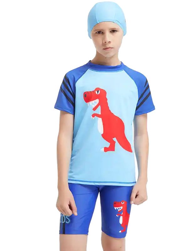Printed Boy Short Bathing Suits FG3720 - 图片 4